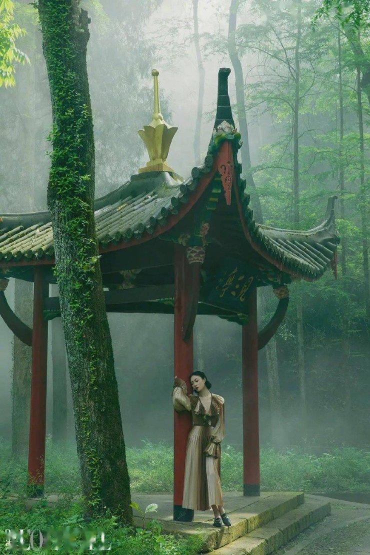 胡昌升在省政协专题协商议政会上强调:全方位提升要素供给保障能力 高水平推进招商引资走深走实