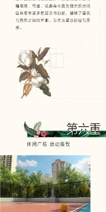 她的故事