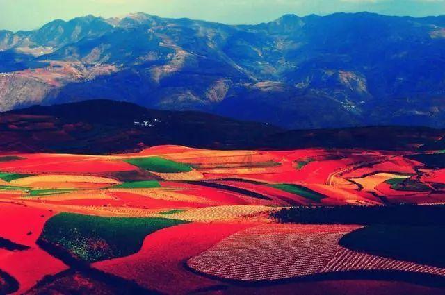 李雪健：抗癌20年视戏如命，妻子于海丹照顾他无怨无悔