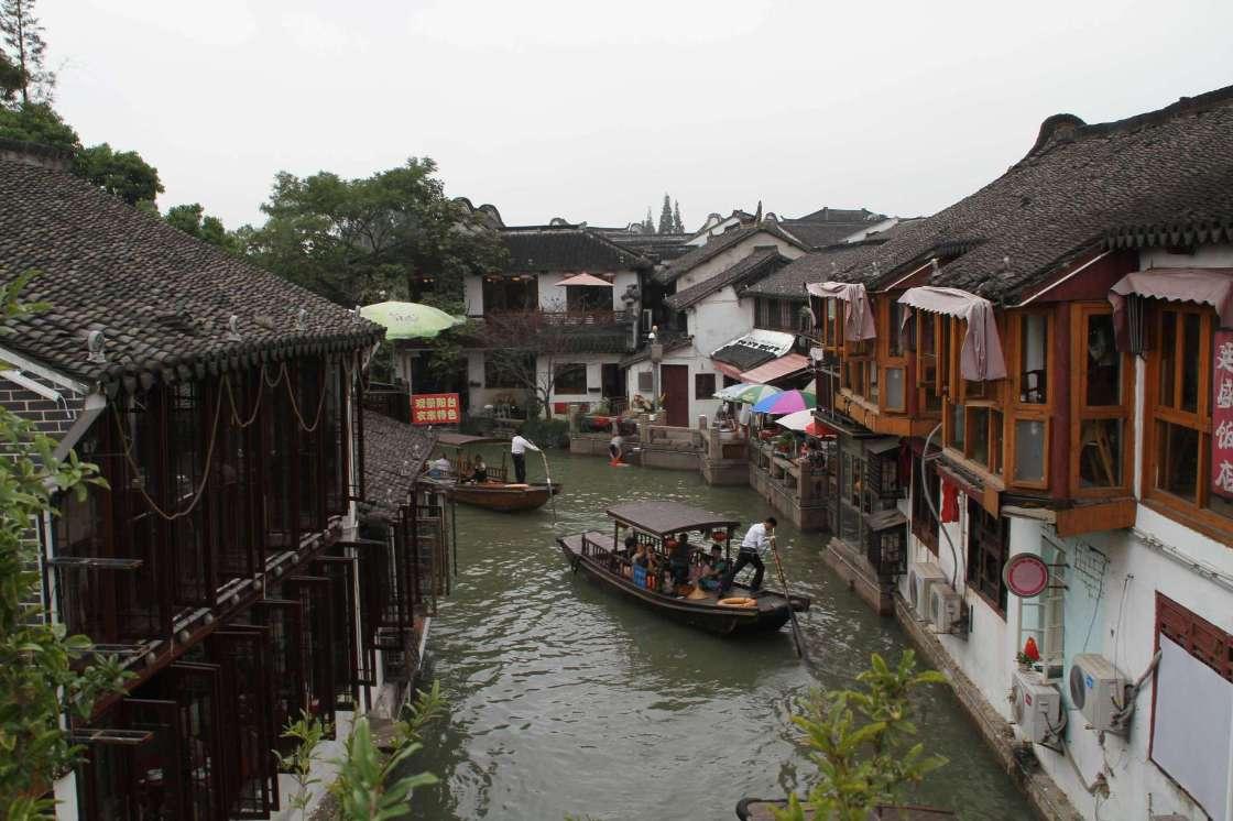救援鹦鹉